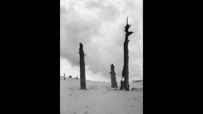 Indiana Dunes (Jun Fujita / Courtesy of Graham and Pamela Lee)
