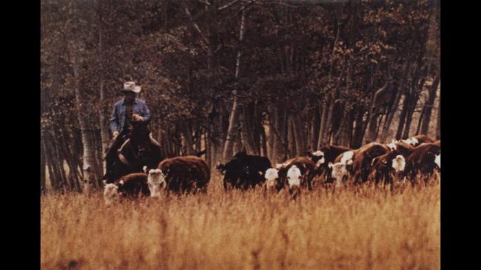 Richard Prince. Untitled (cowboy), 1986. (Courtesy of the Art Institute of Chicago, Gift of Edlis/Neeson Collection) 