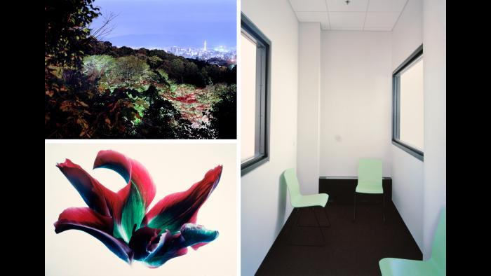 Clockwise: Scott Fortino, Advocate’s Interview Room, Domestic Court, 2007; Mary Koga, Tulips: RG #16, from the “Floral & Leaves” Series, 1971; Christina Seely, Metropolis 35º00’N135º45’E (Kyoto), 2005-2009.