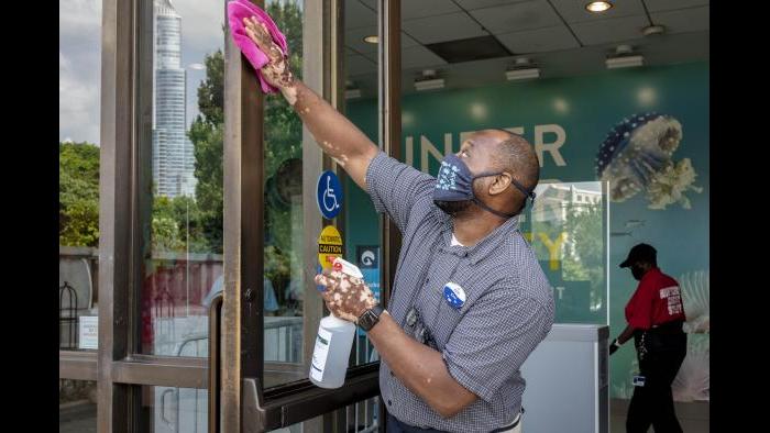 The Shedd Aquarium opened on July 1 at 25% capacity and with timed-entry tickets. (Courtesy Shedd Aquarium)