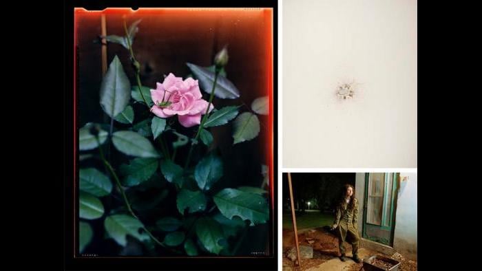 Clockwise: Christian Patterson, Shotgun Blast, 2011; Rachel Papo, Dana, a sniper instructor, outside her room, Kibbutz Kfar Hanassi, Israel (#25) from the Serial No. 3817131 portfolio, 2004; Guillaume Simoneau, Grasshopper on rose, Kennesaw, Georgia, from the “Love and War” series, 2006.