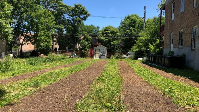 What a Midwestern flower farm looks like, when spring bloomers are spent, and summer's are freshly planted. (Patty Wetli / WTTW News)