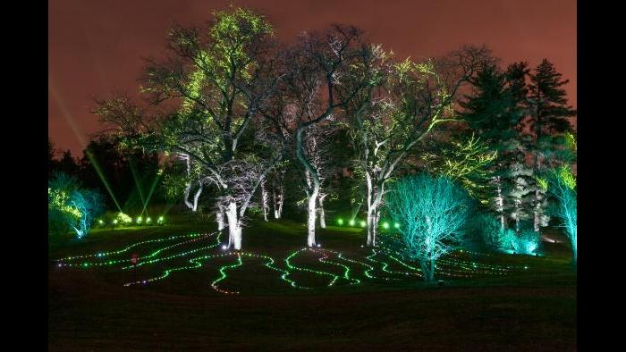(Courtesy of the Morton Arboretum)