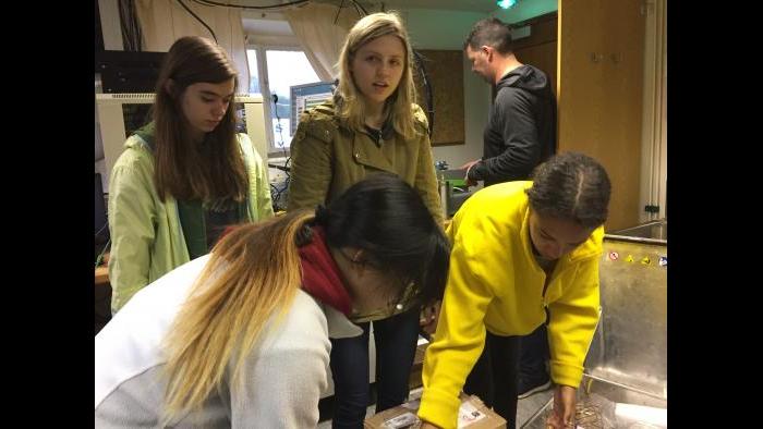UIC students installing equipment aboard the Akademik loffe. (Miguel Gonzalez-Meler / UIC)