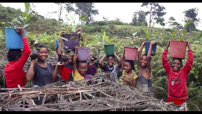 This 2020 photo provided by Centre ValBio shows people working in a community-based conservation program in Madagascar to help regrow forests and protect the country's many species of lemurs that live only on the island. (Jessie Jordan / Centre ValBio via AP)