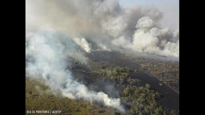 In this undated photo provided by the Association of Forest Communities of Peten on June 2020, fire and smoke envelop a part of the Laguna Del Tigre National Park in northern Guatemala. (Alvaro Ba / ACOFOP via AP)