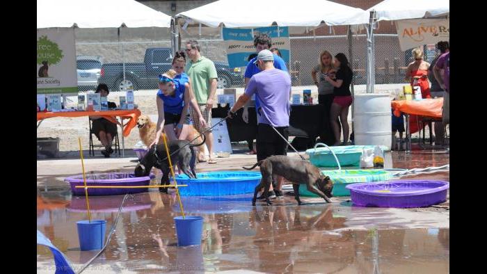 (Courtesy of West Fest)