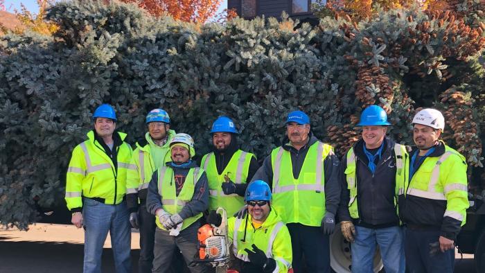 BrightView landscaping company contracts to remove the city's Christmas trees and assessed the health of all the finalists. Preserving a tree calls for a different skill set than a typical removal, said senior account manager Rick Corby. 