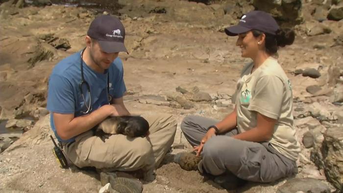 Susana Cardenas-Alayza and Michael Adkesson at the Punta San Juan nature reserve. (Photo courtesy of Punta San Juan/Chicago Zoological Society)