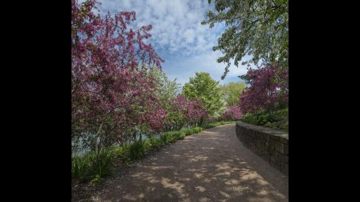 (Courtesy of the Chicago Botanic Garden)