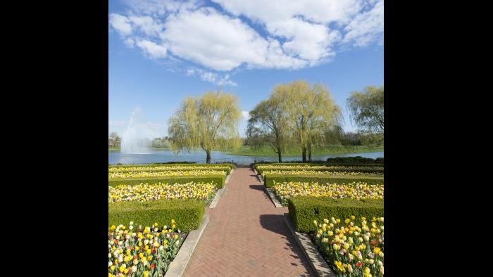 (Courtesy of the Chicago Botanic Garden)