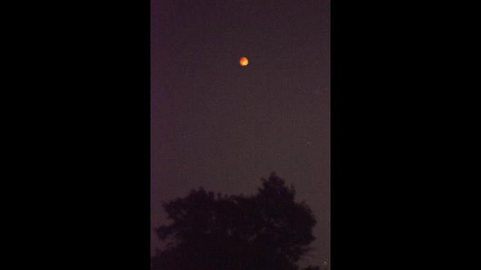 Photo by Eddie  Pedvin: From a golf course in Wilmette