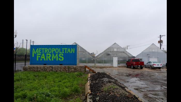 The greenhouse is located at 4250 W. Chicago Ave. in West Humboldt Park. (Evan Garcia)