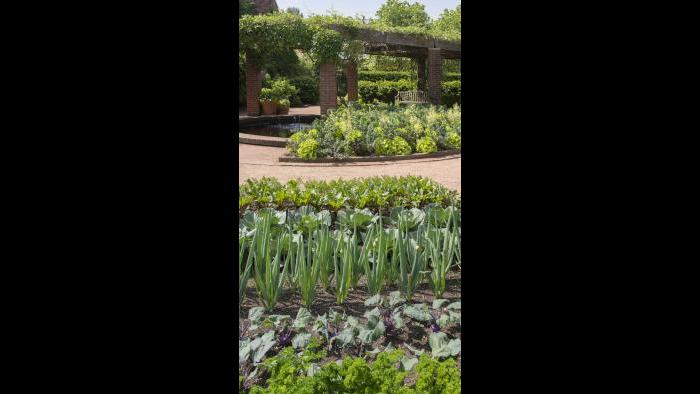 (Courtesy of the Chicago Botanic Garden)