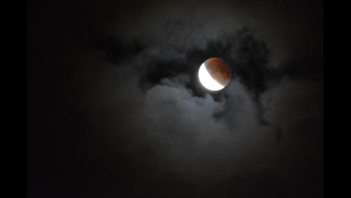 Photo by Brad Monsees: Evanston