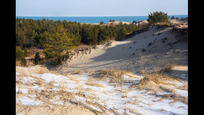 Indiana Dunes National Park (Courtesy of QT Luong)