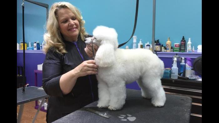 Best Dog Groomer: Jennifer Bishop-Jenkins at Love Fur Dogs