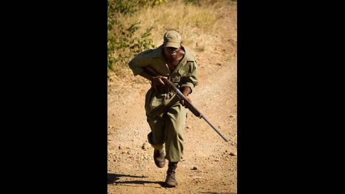 (Courtesy of the International Anti-Poaching Foundation)