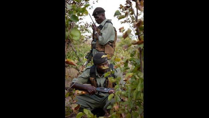 (Courtesy of the International Anti-Poaching Foundation)