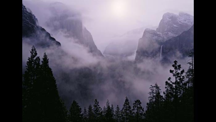 Yosemite National Park (Courtesy of QT Luong)