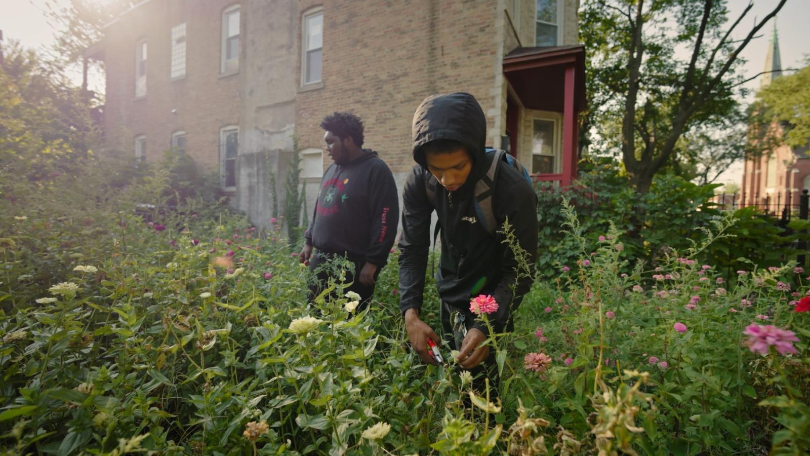 “In Our Nature” documents Southside Blooms’ work. (Courtesy of Synchronous Pictures) “In Our Nature” documents Southside Blooms’ work. (Courtesy of Synchronous Pictures)