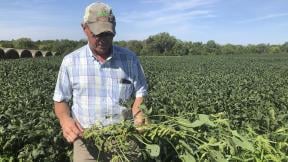 Farmer Randy Miller is shown with his soybeans, Thursday, Aug. 22, 2019, at his farm in Lacona, Iowa. (AP Photo / Julie Pace) Farmer Randy Miller is shown with his soybeans, Thursday, Aug. 22, 2019, at his farm in Lacona, Iowa. (AP Photo / Julie Pace)