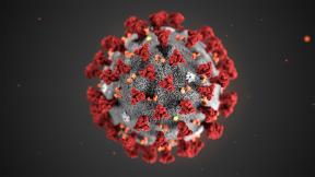 This illustration provided by the Centers for Disease Control and Prevention in January 2020 shows the 2019 Novel Coronavirus (2019-nCoV). This illustration provided by the Centers for Disease Control and Prevention in January 2020 shows the 2019 Novel Coronavirus (2019-nCoV).