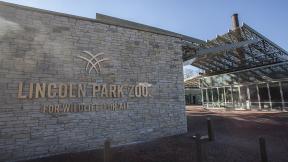 Lincoln Park Zoo’s new Searle Visitor Center (Courtesy Lincoln Park Zoo) Lincoln Park Zoo’s new Searle Visitor Center (Courtesy Lincoln Park Zoo)