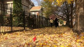 (Patty Wetli / WTTW News) (Patty Wetli / WTTW News)
