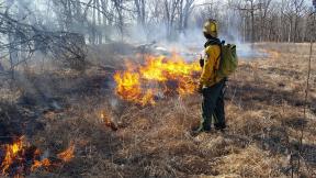 Prescribed burn in Cook County. (Kelly Bougher / Forest Preserve District of Cook County) Prescribed burn in Cook County. (Kelly Bougher / Forest Preserve District of Cook County)