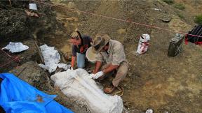 Field assistant Kylie Ruble, left, and Robert DePalma excavate a slab of fossils from the Tanis deposit. (Courtesy of Robert DePalma)