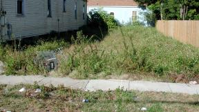 The Office of Inspector General has released a report on Streets & San's weed-cutting performance. (Bart Everson / Flickr) The Office of Inspector General has released a report on Streets & San's weed-cutting performance. (Bart Everson / Flickr)